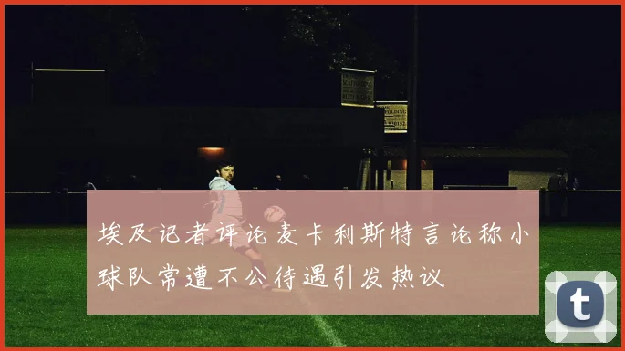 埃及记者评论麦卡利斯特言论称小球队常遭不公待遇引发热议
